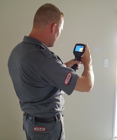 termite detection camera termite detection inspection camera image