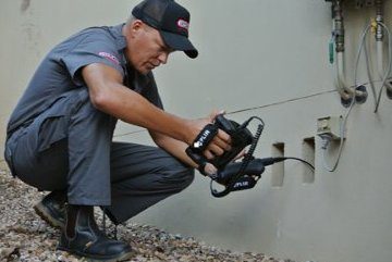 termite inspections by pest ex termite inspections image