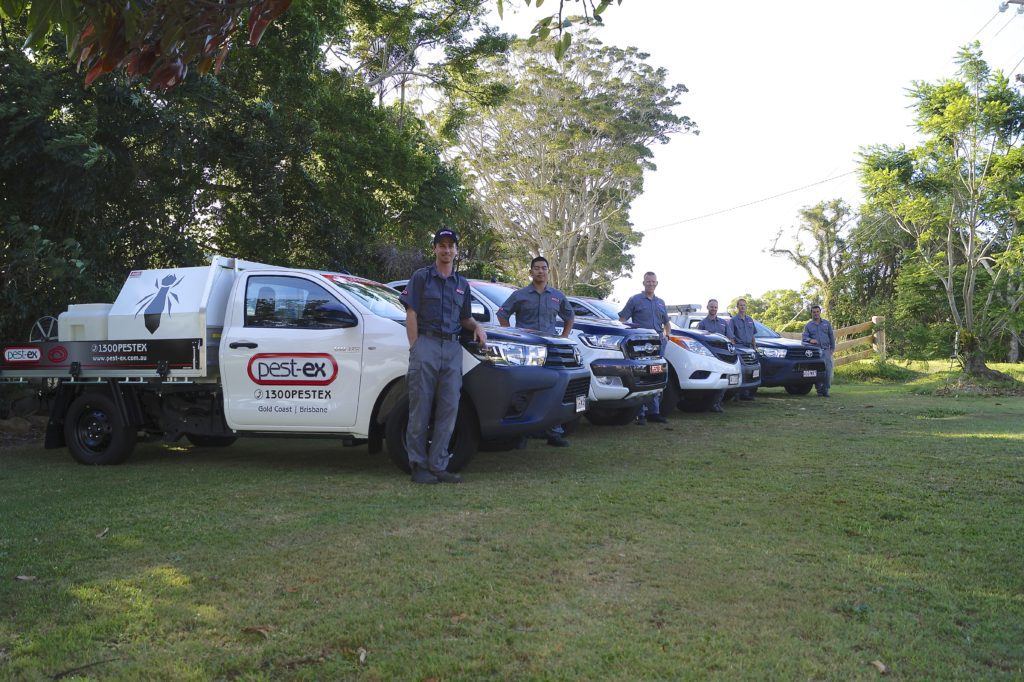 Pest-Ex Termite & Pest Control Pest Ex Pest Termite Control image