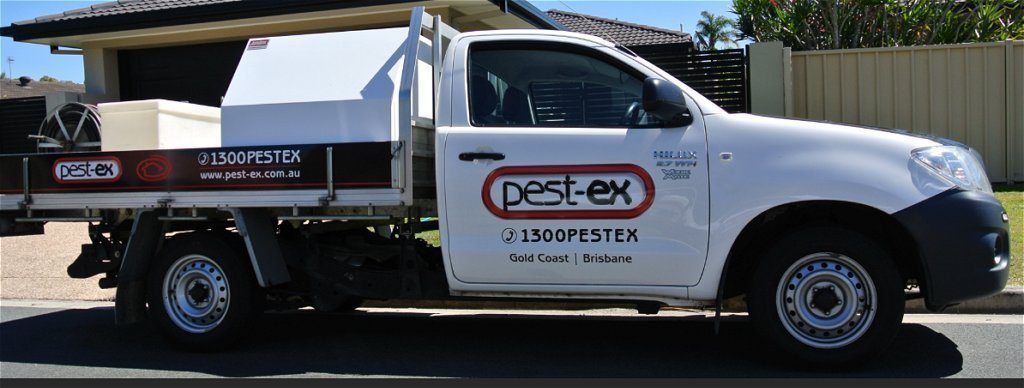 bethania pest control and termite inspection treatment bethania termite treatment pest control image