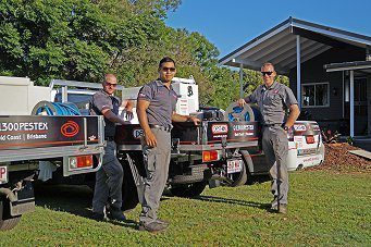 professional termite treatment