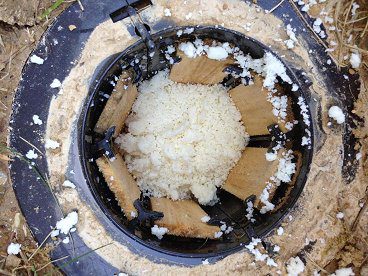 termite bait system