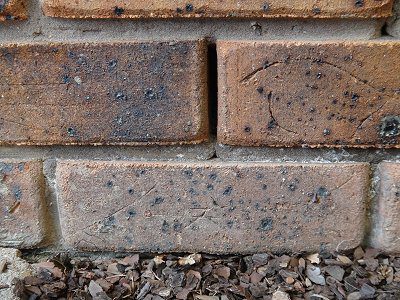 weep holes image