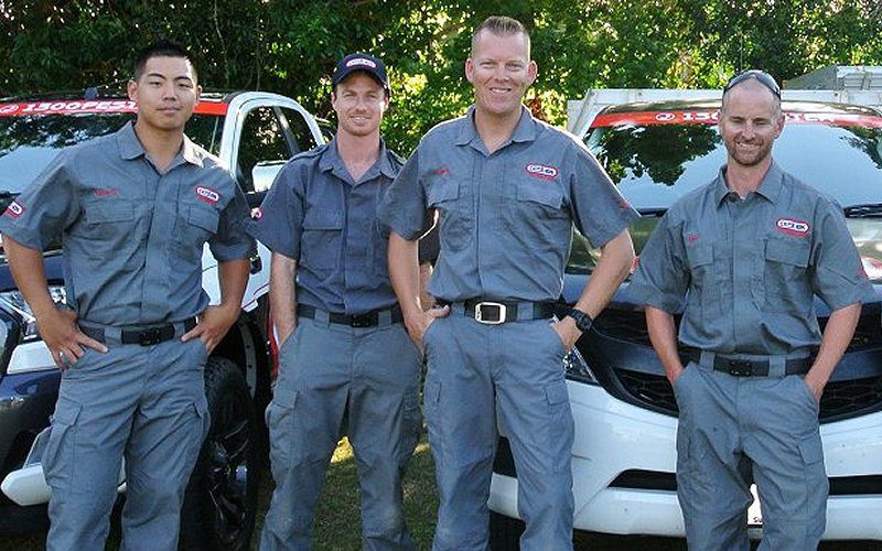 pest ex termite professionals image