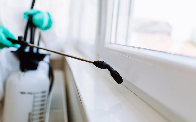 Pest Control Treatment
