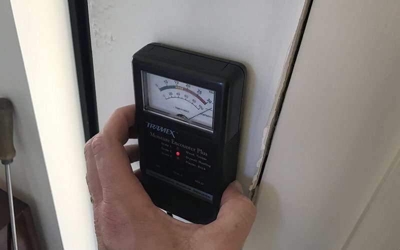 Termite Inspection