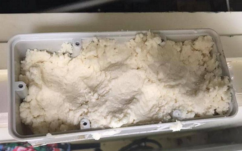 exterra termite baiting system