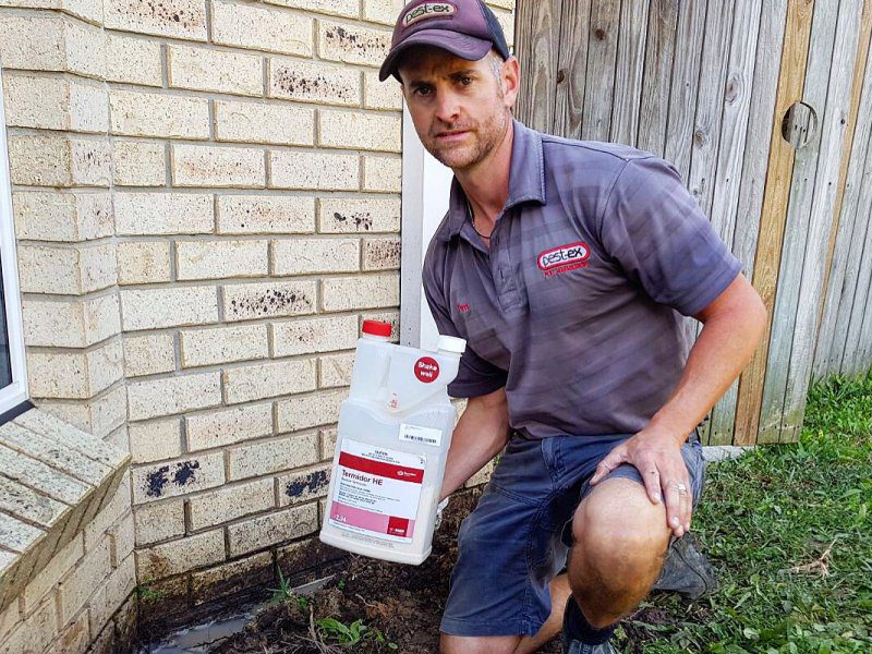 Termite Reticulation Systems